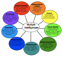 Using Multiple Intelligences in Facilitation